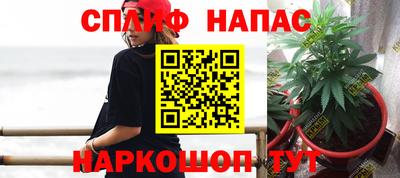МДПВ Заводоуковск