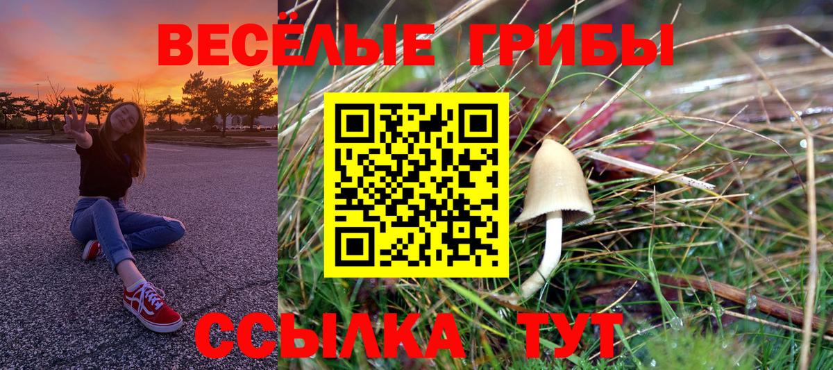 Псилоцибиновые грибы Cubensis  Вход с VPN  Псилоцибиновые грибы Cubensis  Ликино-Дулёво 