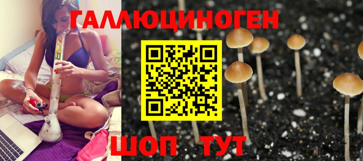 Галлюциногенные грибы Magic Shrooms Ликино-Дулёво