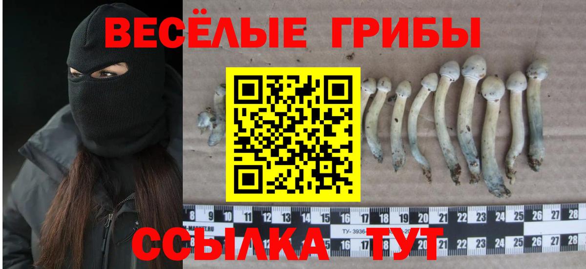 Alpha-PVP СОЛЬ кристаллы  Ликино-Дулёво  NBOMe  Канабис  Вход с VPN  ГАШИШ  Мефедрон кристаллы  ГАШИШ  Кокаин 